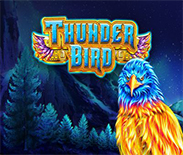 Thunder Bird